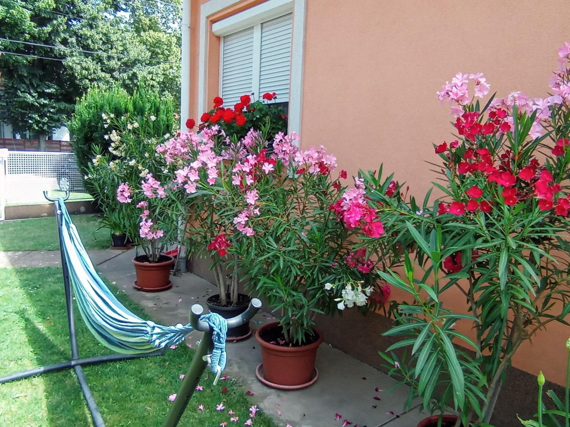 Marika Apartman Hajdúszoboszló Exterior foto